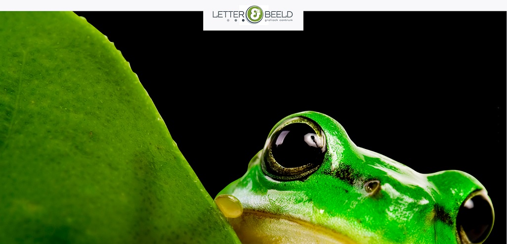 Letter & Beeld - Grafische specialisten website screenshot